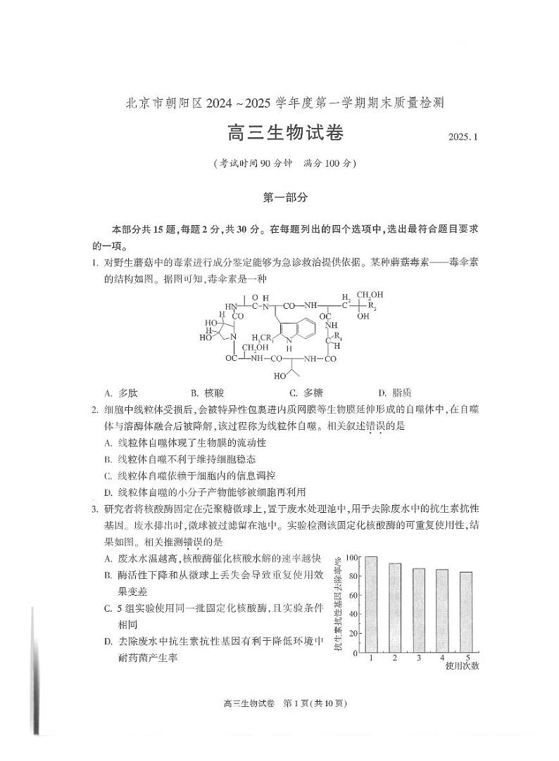 北京市朝阳区2024-2025学年高三上学期1月期末质量检测-生物试卷+答案第1页