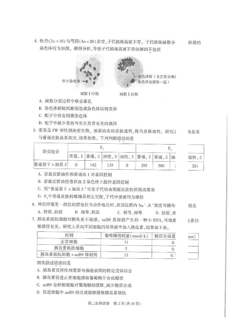 北京市朝阳区2024-2025学年高三上学期1月期末质量检测-生物试卷+答案第2页