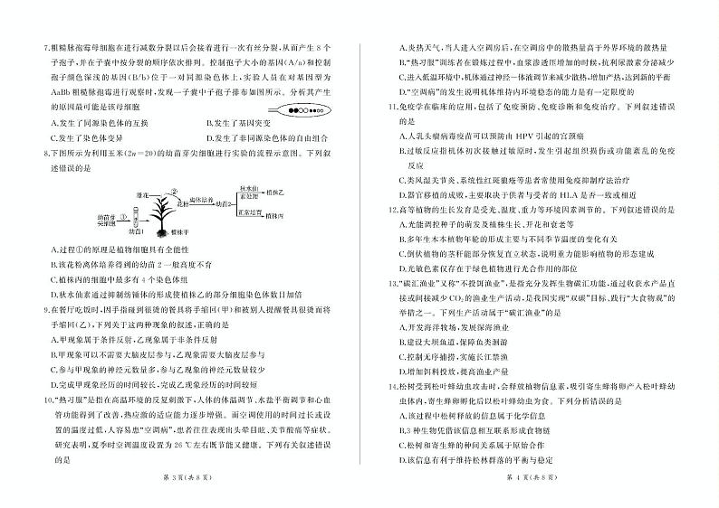 甘肃省部分学校2025届高三上学期第一次联考（期末）生物试卷（含解析）第2页