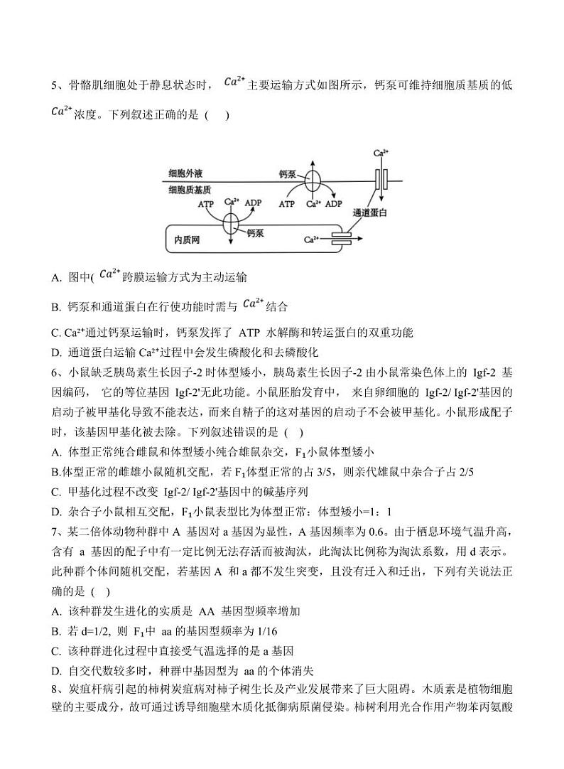 黑龙江省佳木斯市第一中学2025届高三上学期第五次调研考试高考模拟-生物试题+答案第2页