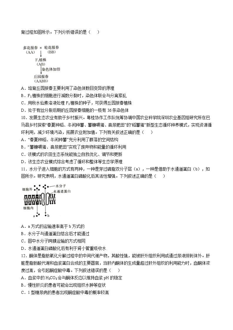 辽宁省抚顺市省重点高中六校2025届高三上学期期末考试生物试卷（Word版附解析）第3页