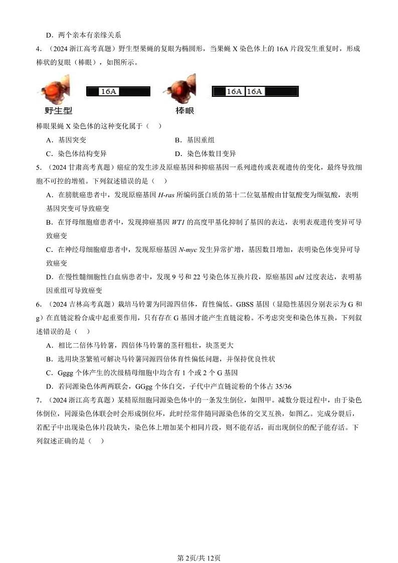 2022-2024全国高考真题生物汇编：染色体变异第2页