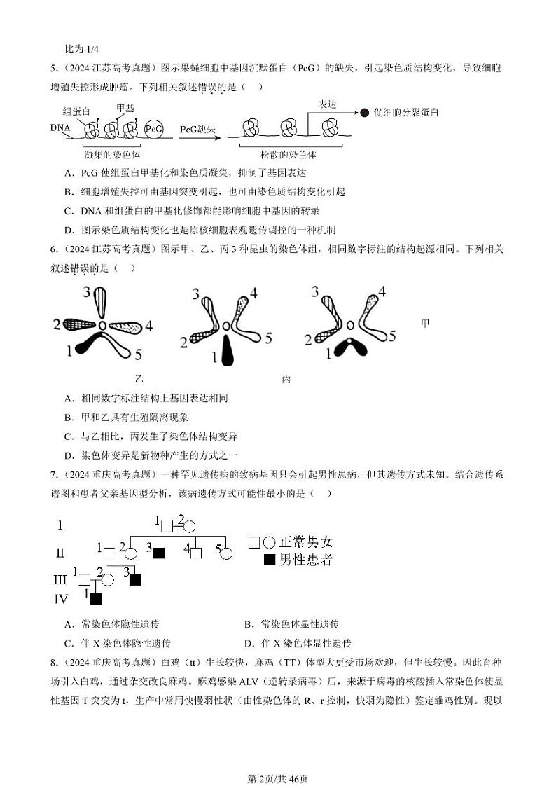 2024全国高考真题生物汇编：基因突变及其它变异章节综合第2页