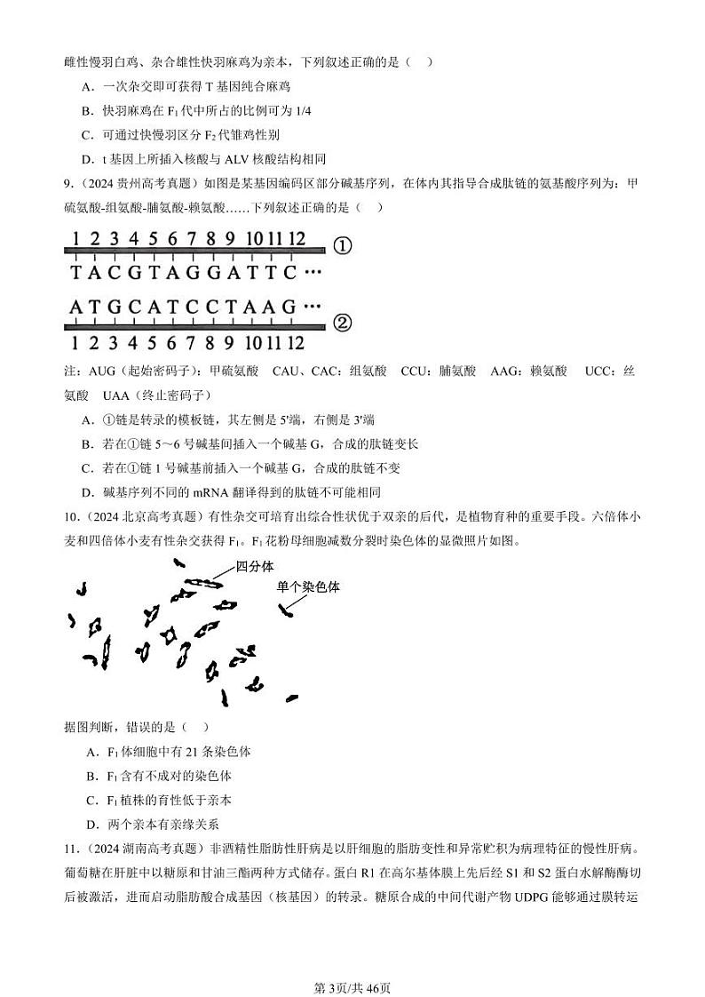 2024全国高考真题生物汇编：基因突变及其它变异章节综合第3页