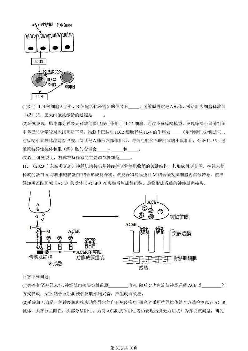2022-2024全国高考真题生物汇编：免疫失调第3页