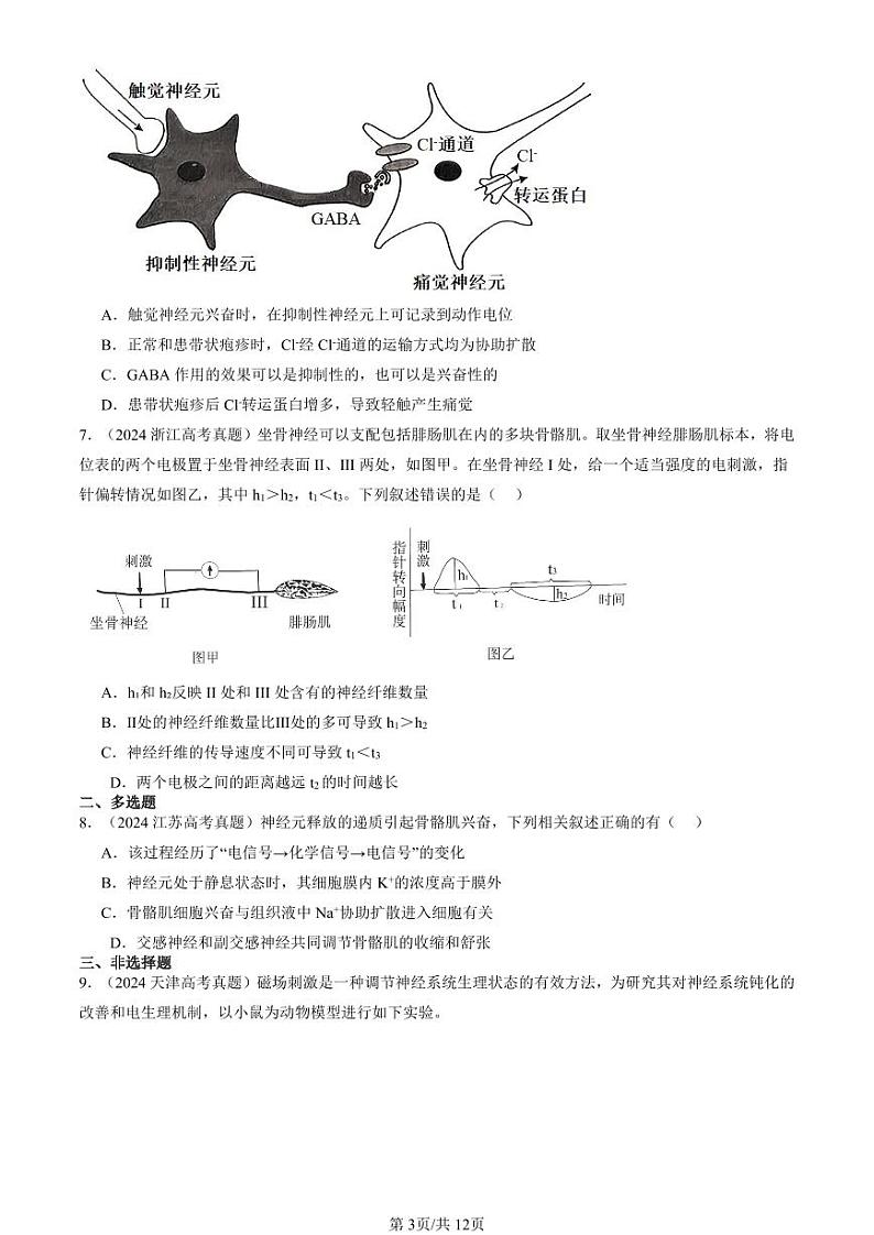 2024全国高考真题生物汇编：神经冲动的产生和传导第3页