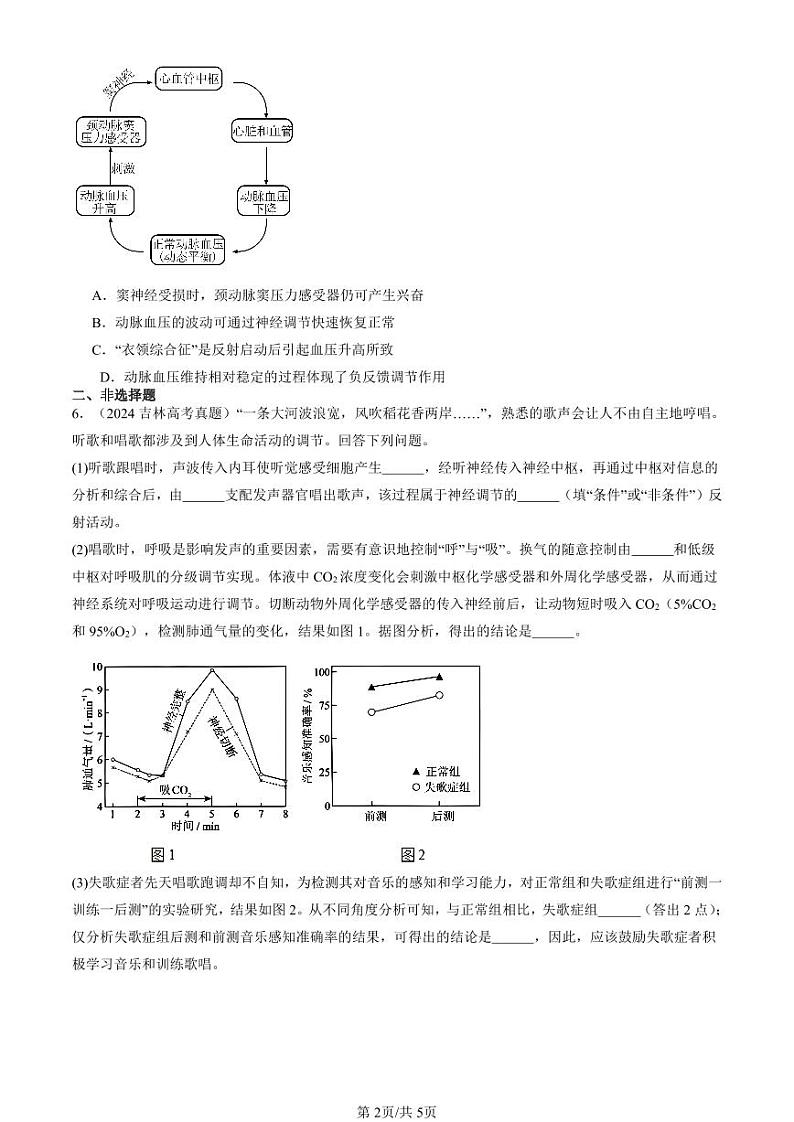 2022-2024全国高考真题生物汇编：神经调节的基本方式第2页