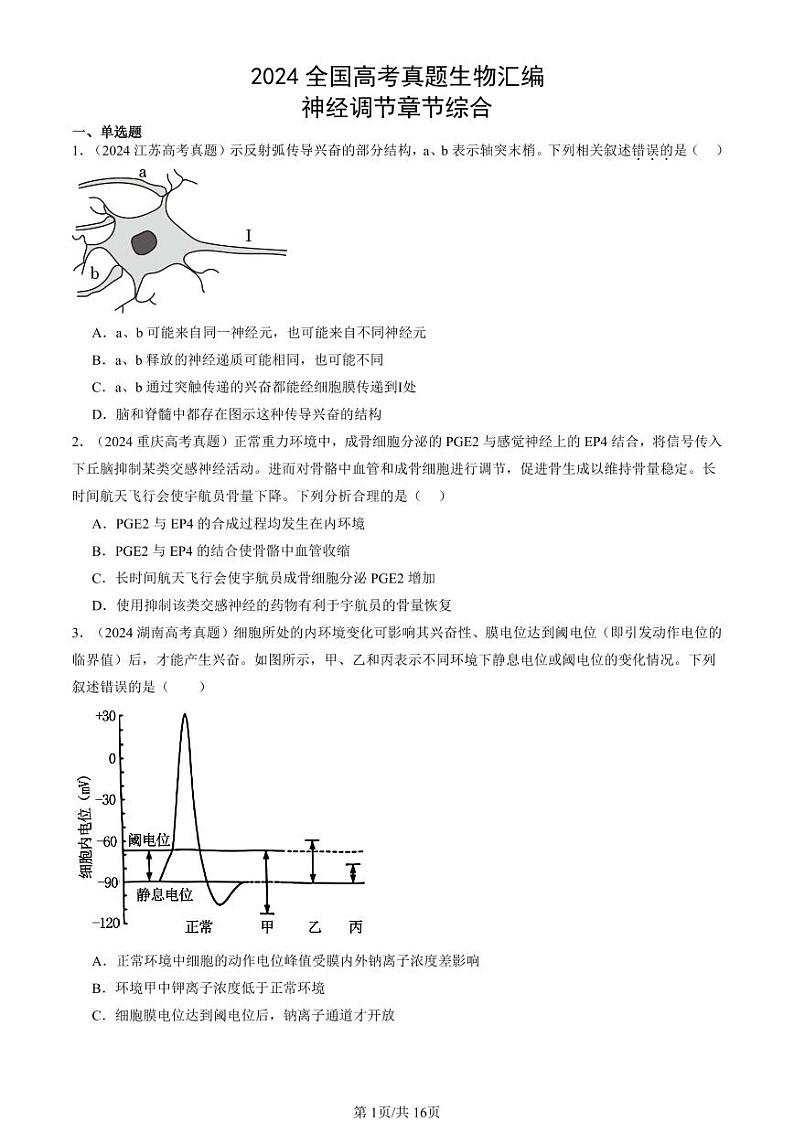 2024全国高考真题生物汇编：神经调节章节综合第1页