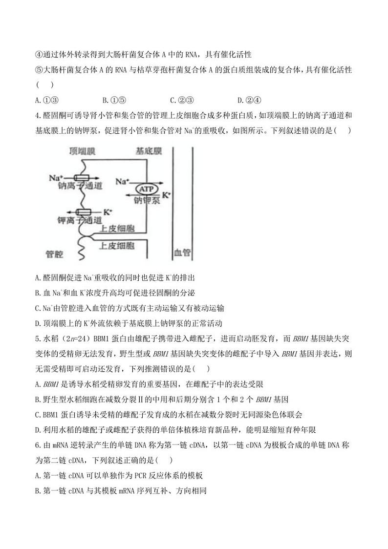 2025年河南省1月高三上适应性测试(八省联考(月考))生物试卷(含答案)第2页