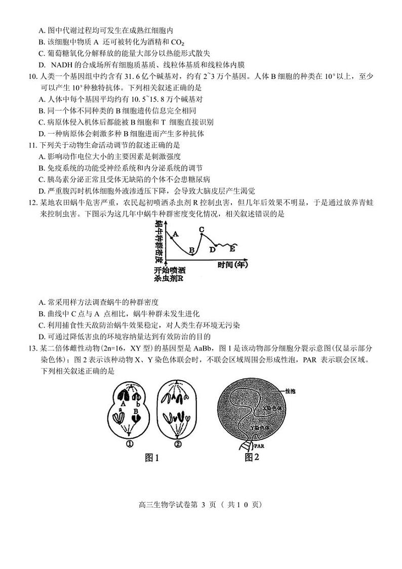 2025届江苏省南京市盐城市高三年级(一)模拟考试[高考]一模生物试卷(含答案)第2页
