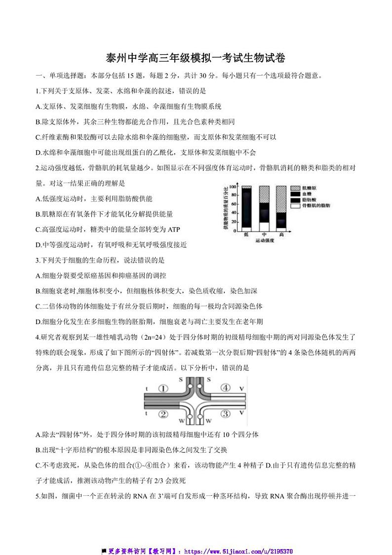2025届江苏省泰州中学高三上[高考]一模生物试卷(含答案)第1页