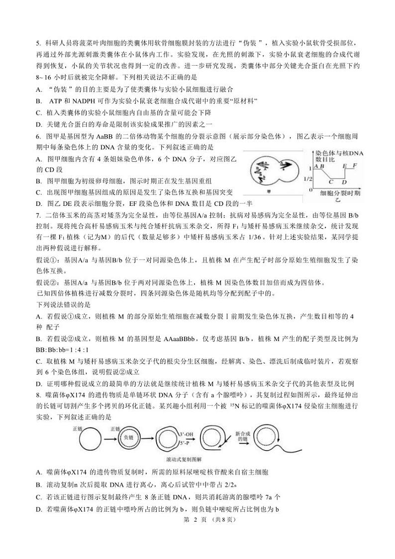 2025届山东省济南市历区山东师范大学附属中学高三下上12月考试卷生物(含答案)第2页