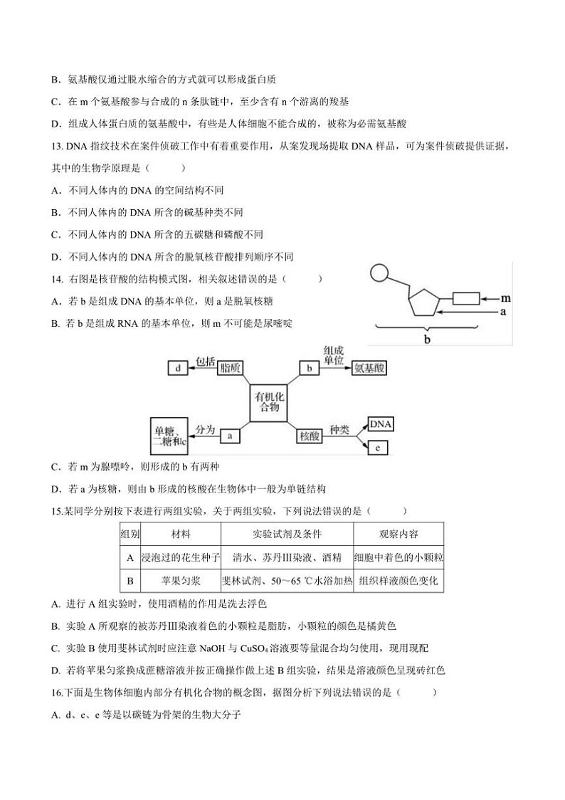 2024～2025学年贵州省学校高一上(一)联考(月考)试卷生物(含答案)第3页