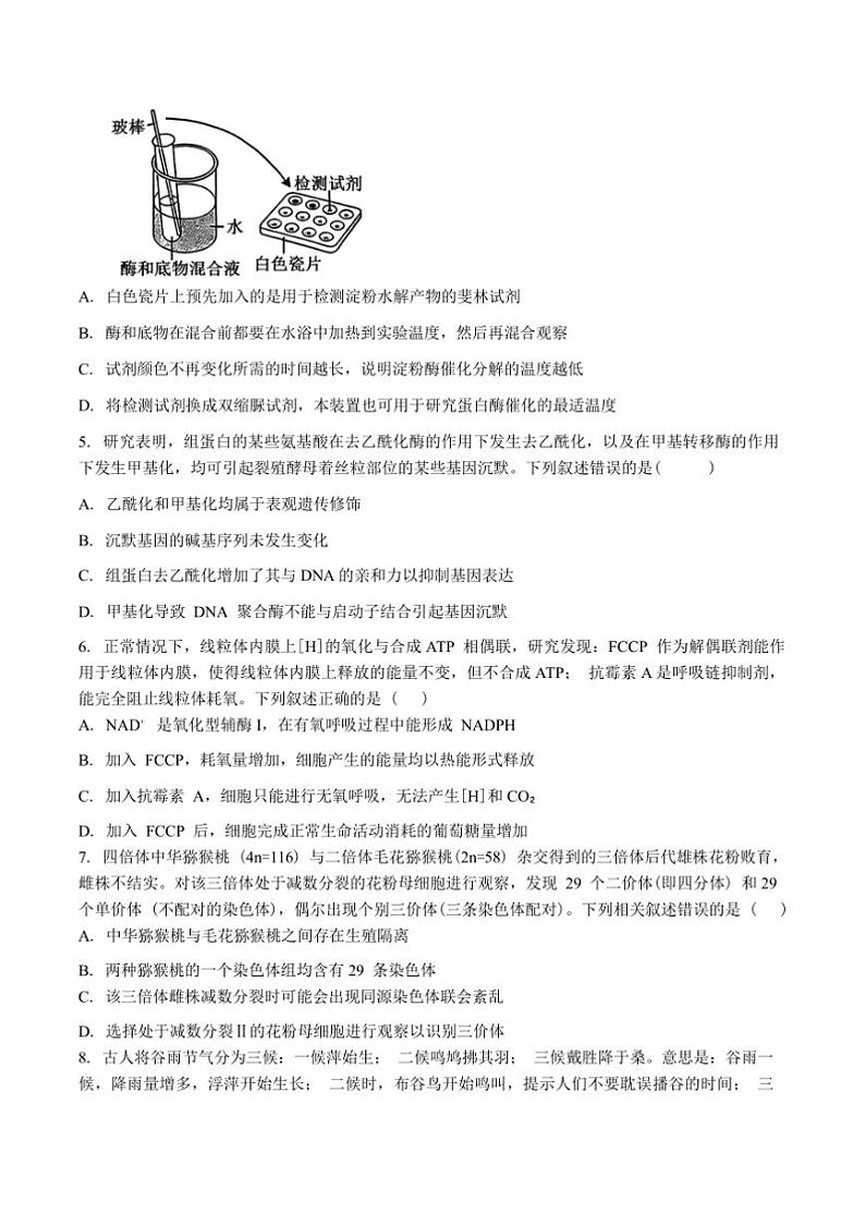 2025届黑龙江省大庆市高三年级上(二)教学月考生物模拟试卷(含答案)第2页