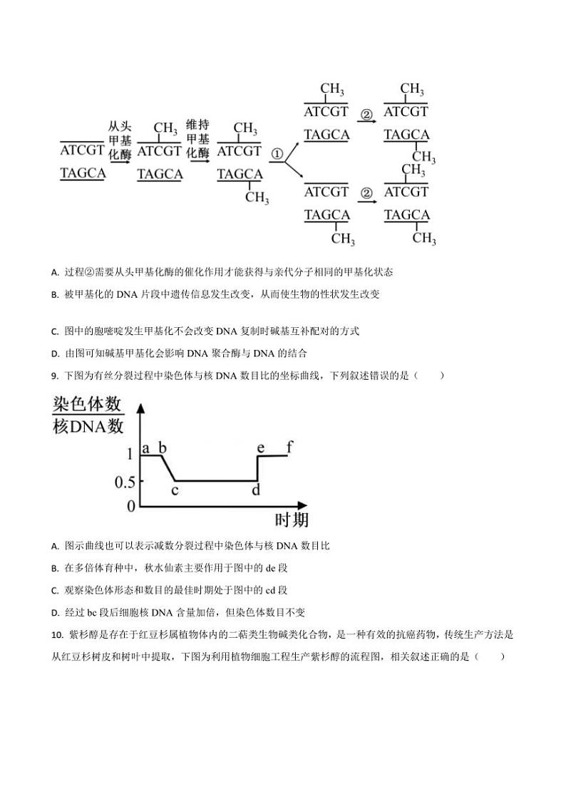 2025届吉林省通化市梅河口市第五中学高三上期末考试生物试卷(含答案)第3页