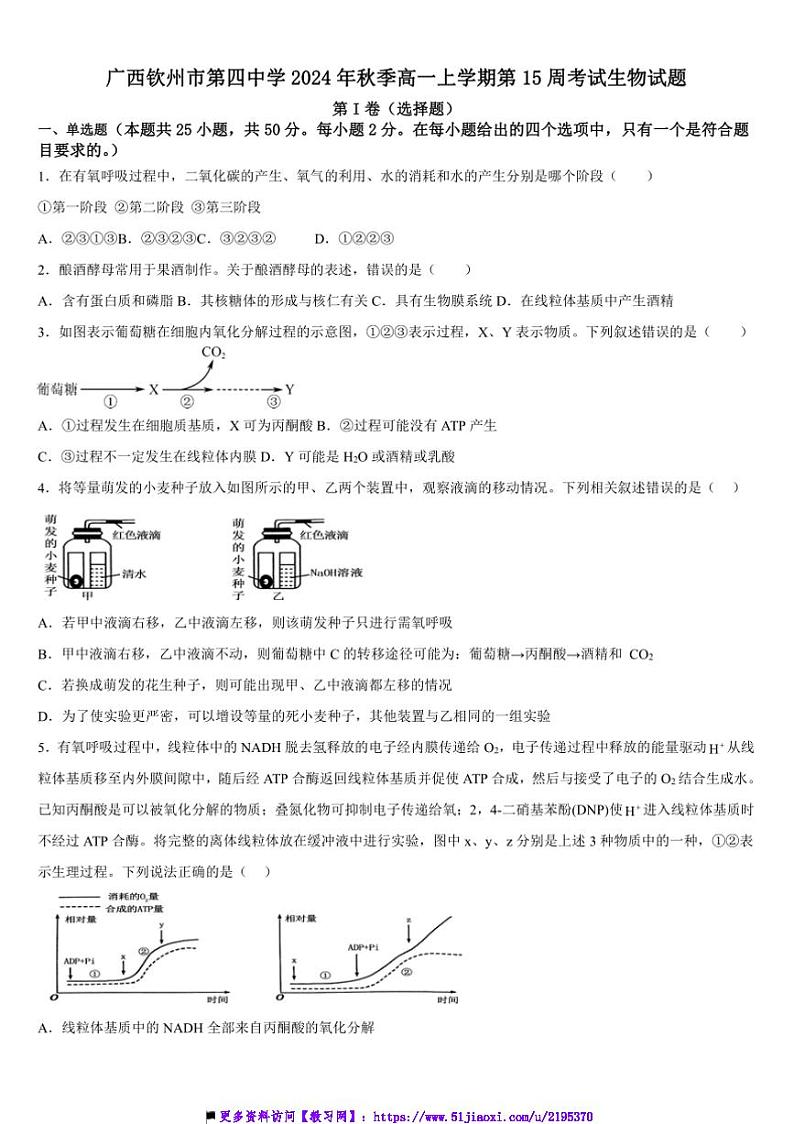 2024年广西钦州市第四中学秋季高一上第15周考试生物试卷(含答案)第1页