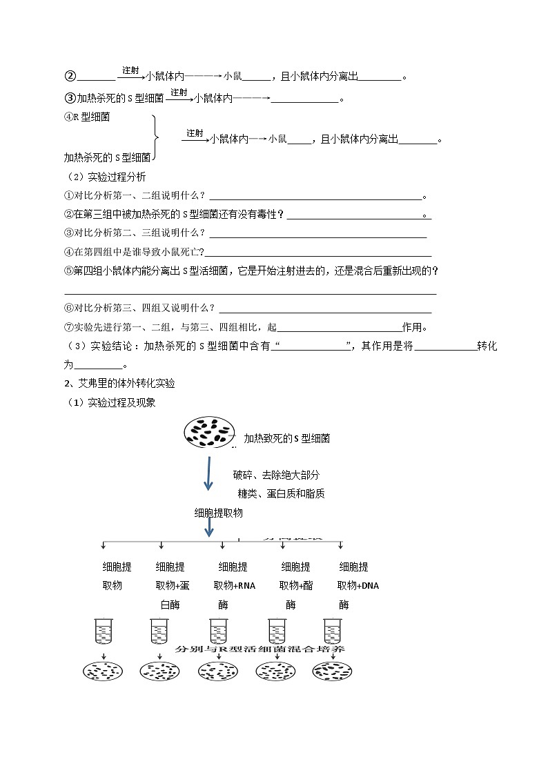(人教版)2025年高一生物寒假衔接讲练 (预习)第04讲 DNA是主要的遗传物质（原卷版）第2页
