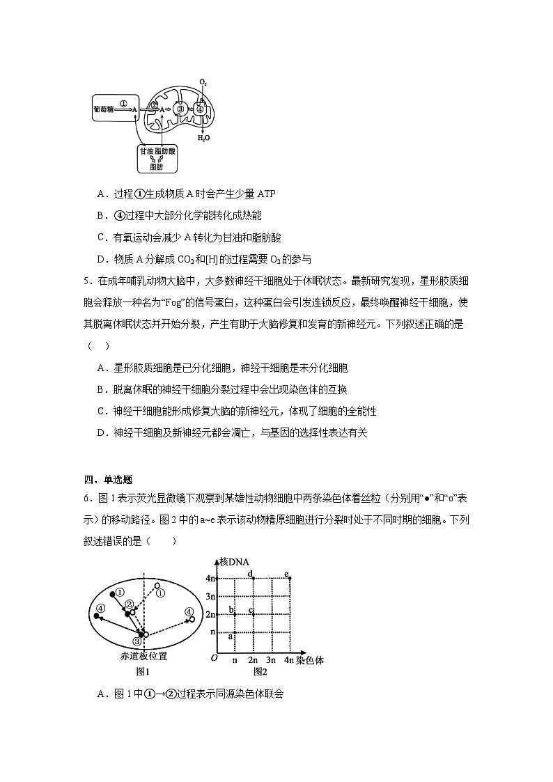 2025届陕西省渭南市高三一模生物试题第2页