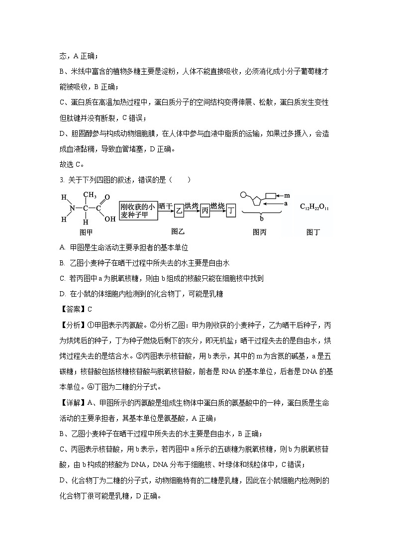 2023~2024学年湖北省武汉市部分重点中学高一上期末联考生物试卷（解析版）第2页