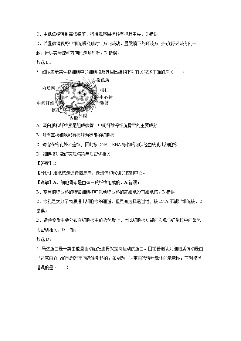 2023~2024学年湖南省雅礼集团高一上12月月考生物试卷（解析版）第2页