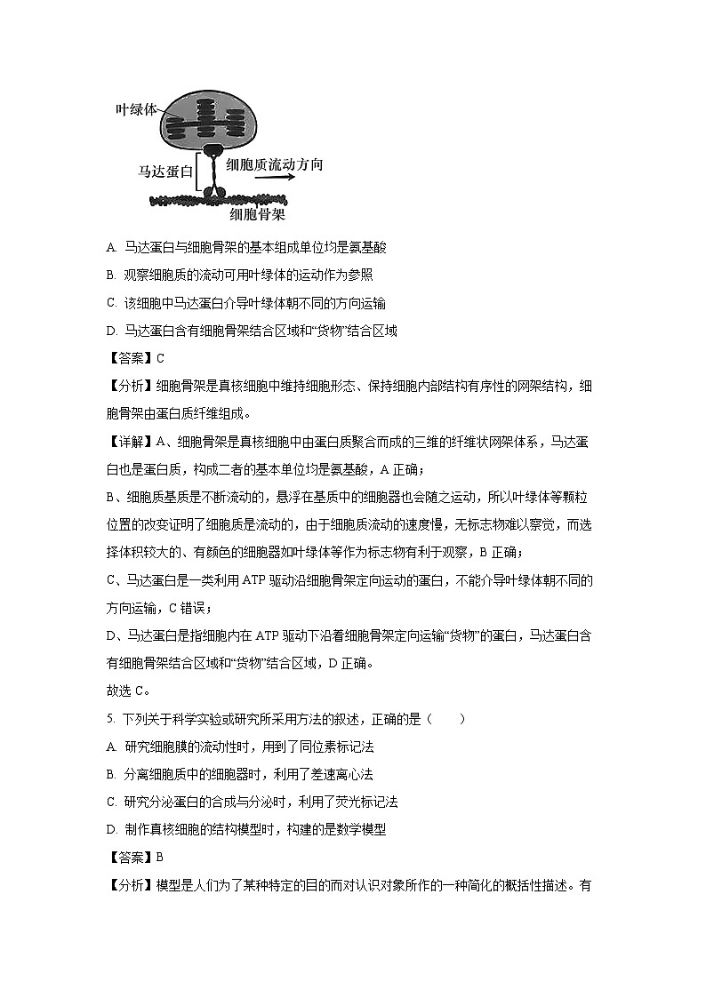 2023~2024学年湖南省雅礼集团高一上12月月考生物试卷（解析版）第3页