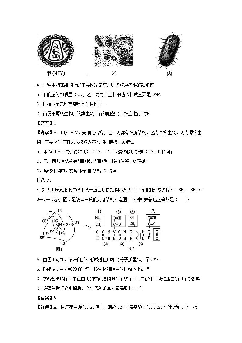 2023~2024学年安徽省阜阳市高一上期末联考生物试卷（解析版）第2页