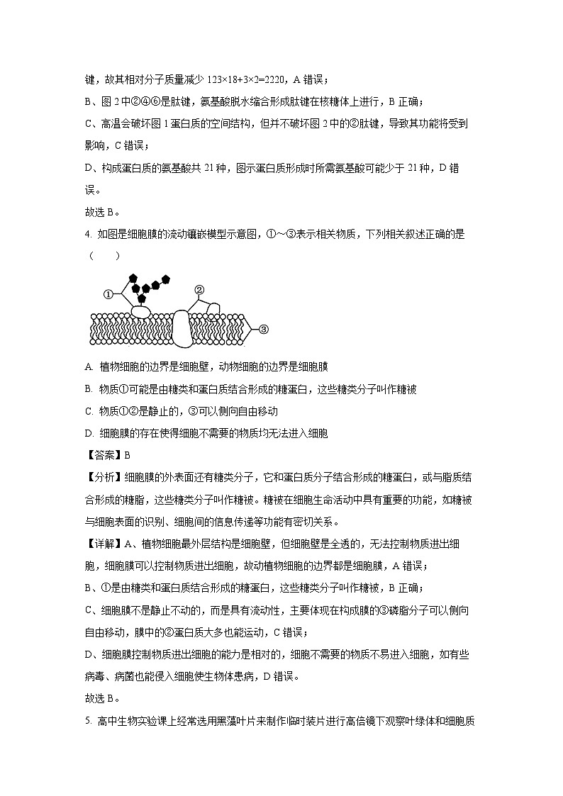 2023~2024学年安徽省阜阳市高一上期末联考生物试卷（解析版）第3页