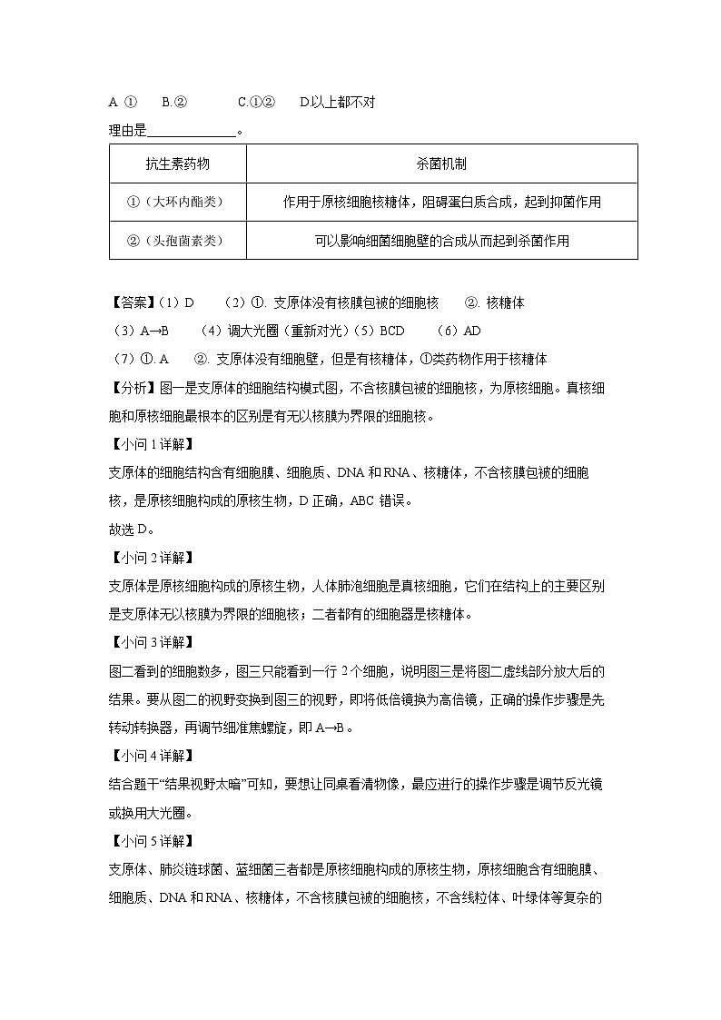 2023~2024学年上海市四中高一上1月期末生物试卷（解析版）第2页
