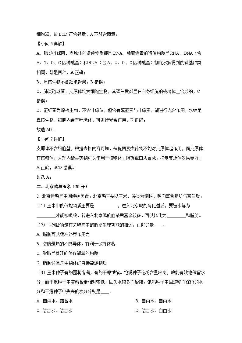 2023~2024学年上海市四中高一上1月期末生物试卷（解析版）第3页