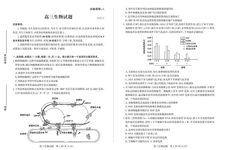 山东省滨州市2024-2025学年高三上学期1月期末考试生物第1页
