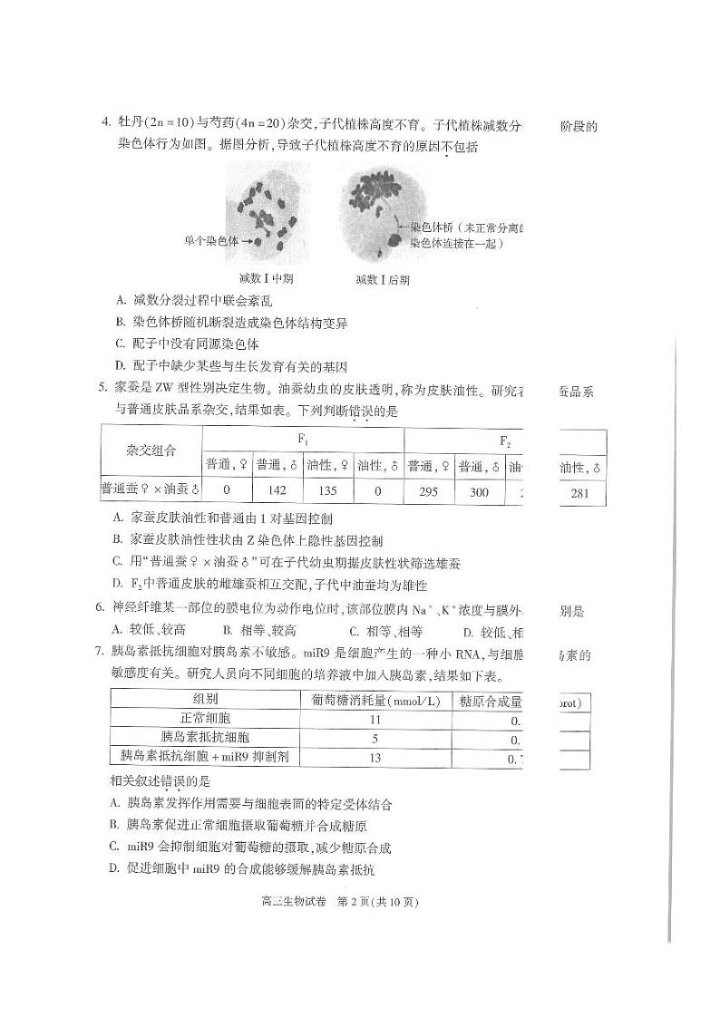 2025北京朝阳区高三上学期期末考试生物PDF版含答案第2页
