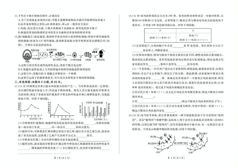 2025甘肃省部分学校高三上学期第一次联考试题（期末）生物PDF版含解析第3页