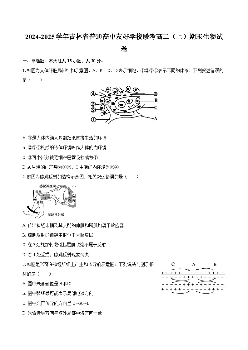 2024-2025学年吉林省普通高中友好学校联考高二（上）期末生物试卷第1页