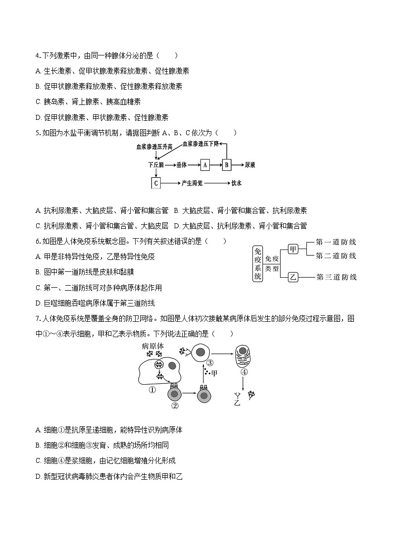 2024-2025学年吉林省普通高中友好学校联考高二（上）期末生物试卷第2页