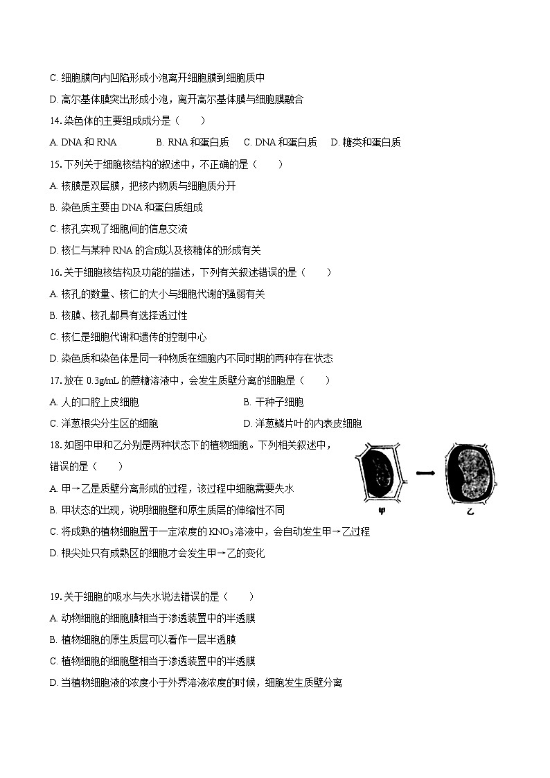 黑龙江省大庆市石油高级中学2024-2025学年高一（上）期末生物试卷第3页