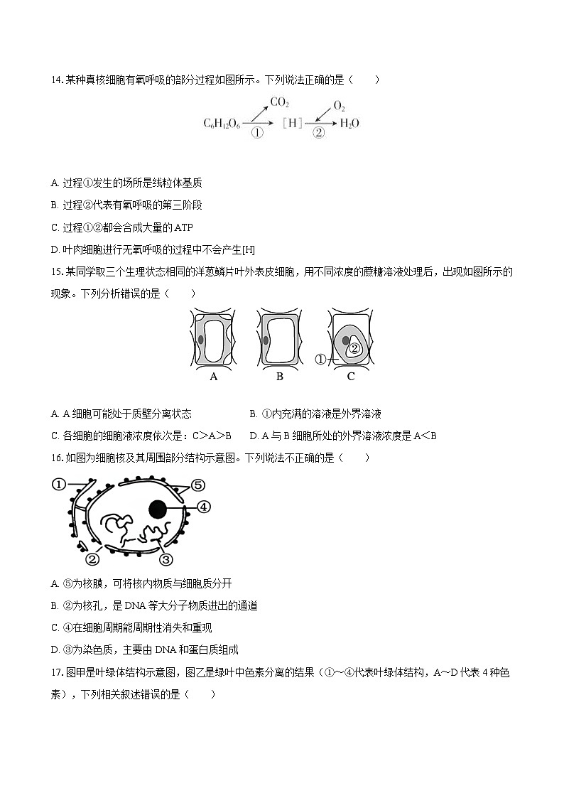 吉林省普通高中友好学校联考2024-2025学年高一（上）期末生物试卷（含解析）第3页