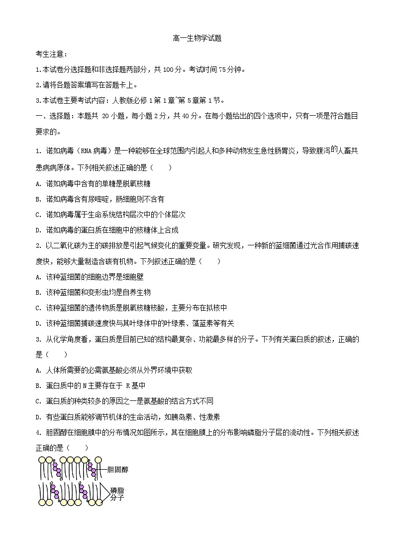 四川省2023_2024学年高一生物上学期期中联合学业质量检测试题含解析第1页