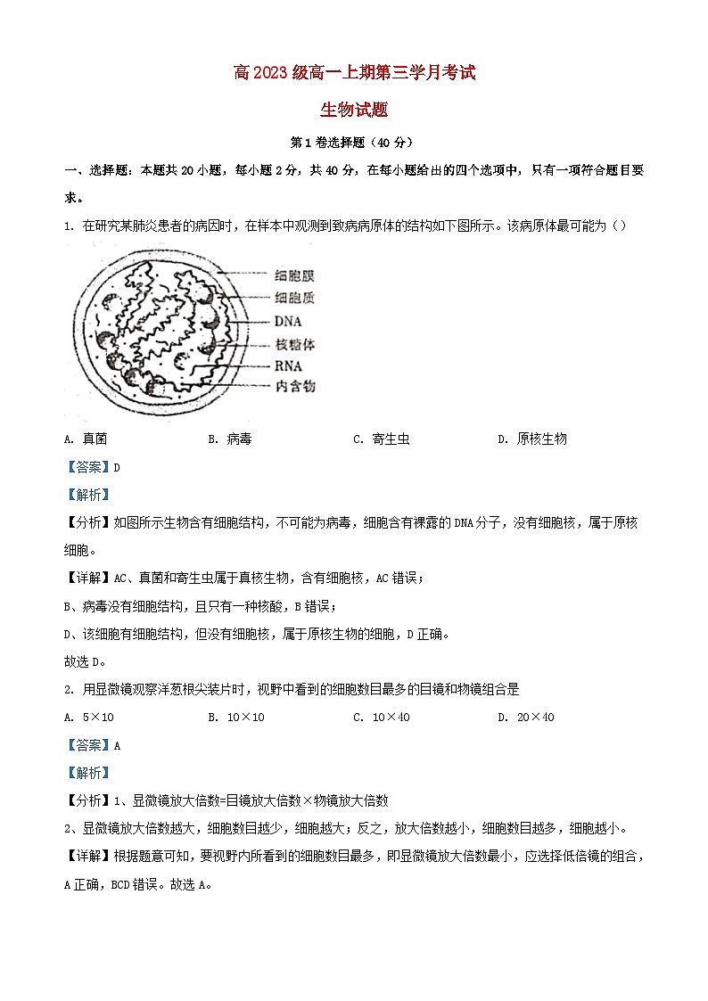 四川省泸县2023_2024学年高一生物上学期12月月考试题含解析第1页