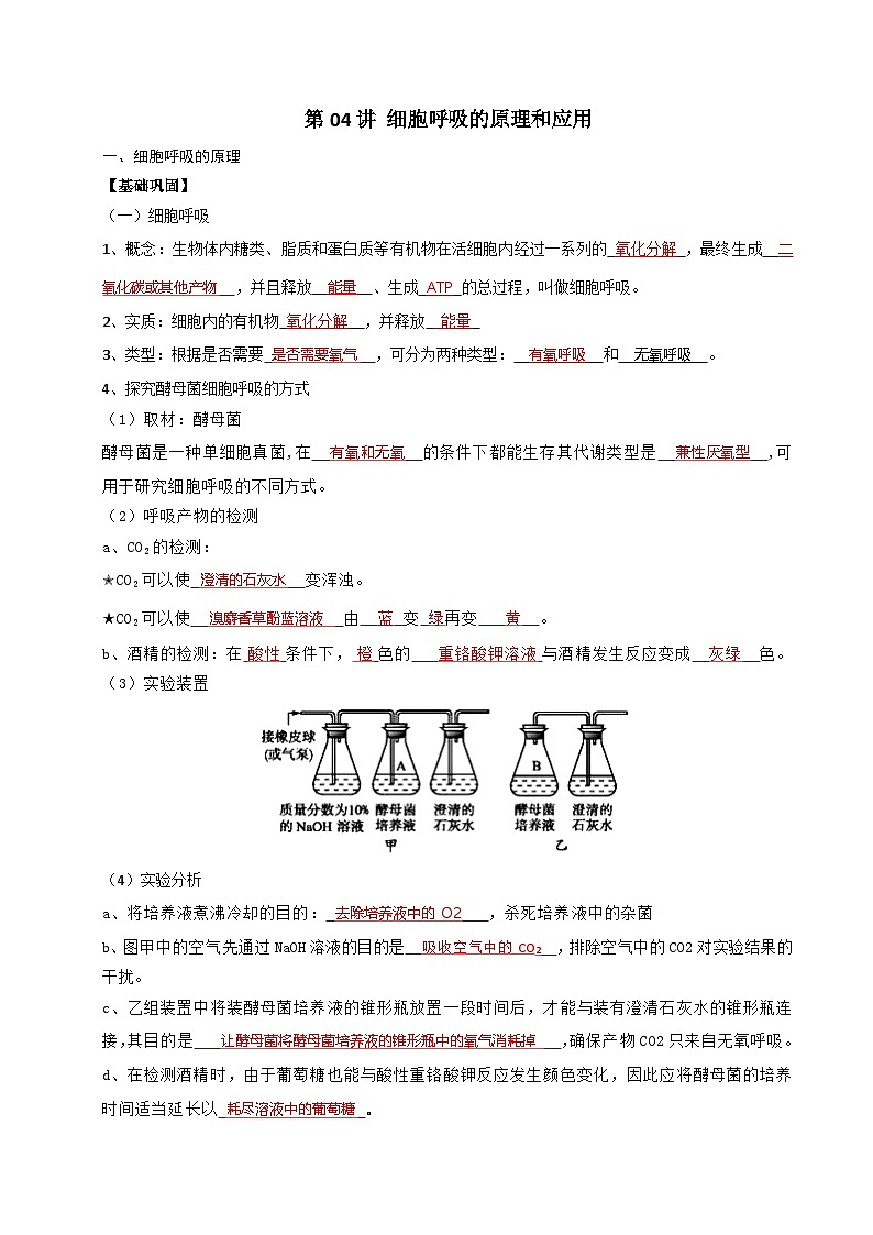 2025年高一生物寒假衔接讲练【人教版】第04讲 细胞呼吸的原理和应用（解析版）第1页