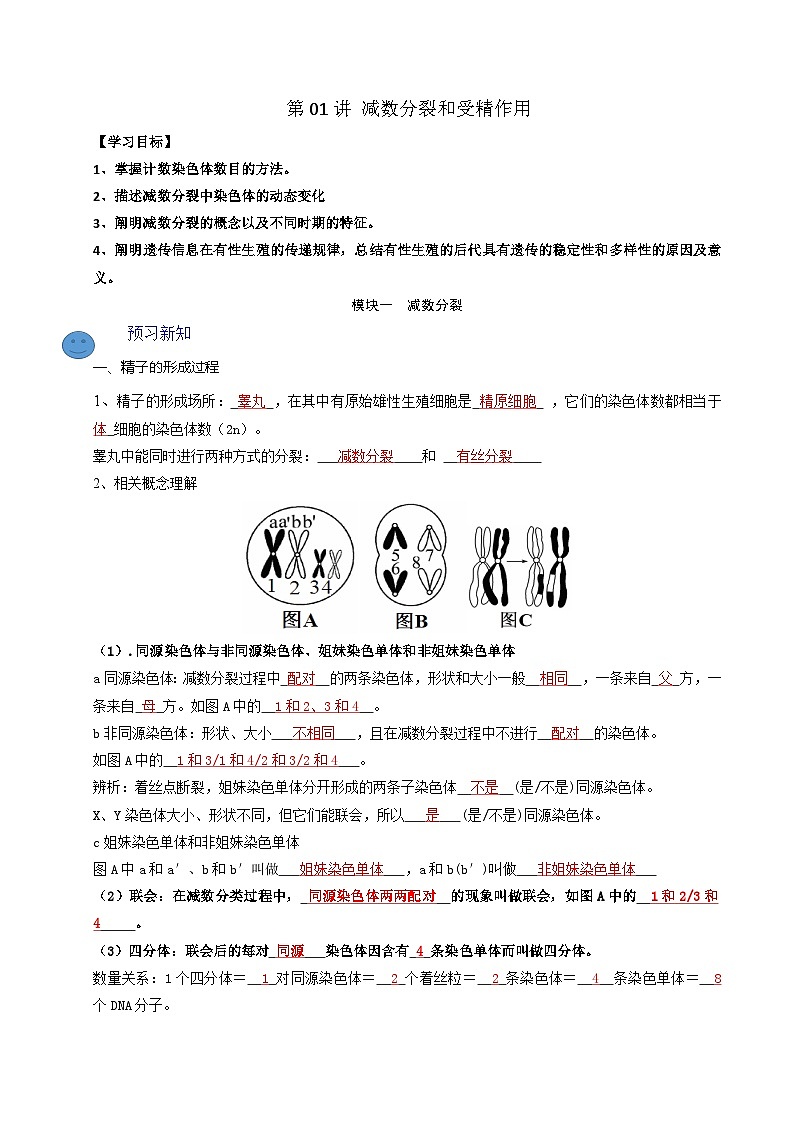 2025年高一生物寒假衔接讲练【人教版】第01讲 减数分裂和受精作用（解析版）第1页