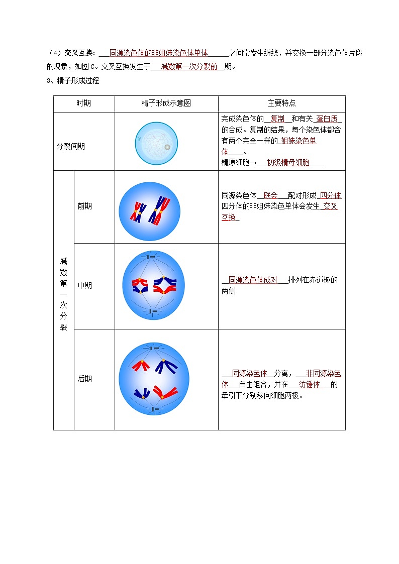 2025年高一生物寒假衔接讲练【人教版】第01讲 减数分裂和受精作用（解析版）第2页