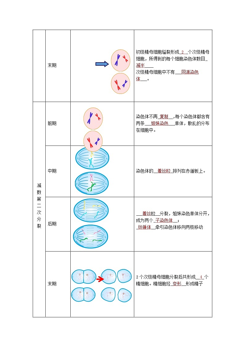 2025年高一生物寒假衔接讲练【人教版】第01讲 减数分裂和受精作用（解析版）第3页