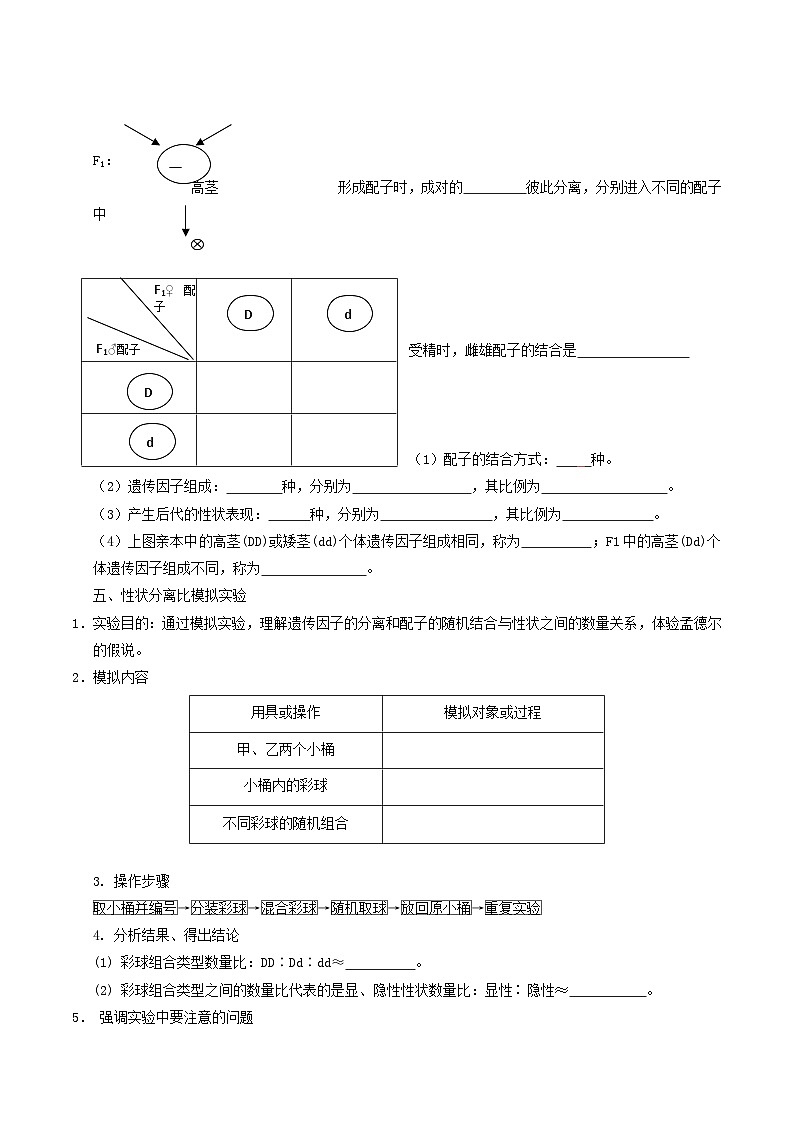2025年高一生物寒假衔接讲练【人教版】第02讲 孟德尔的豌豆杂交实验（一）（原卷版）第3页