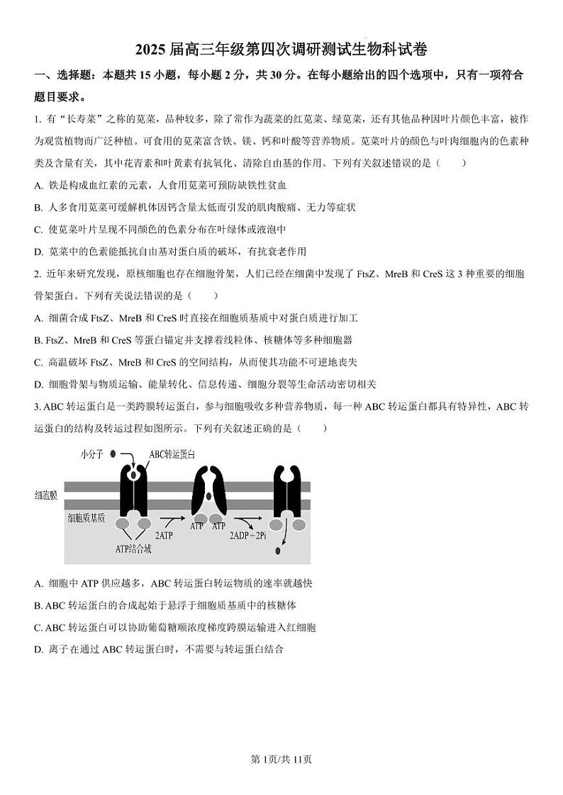 吉林省长春市第二中学2025届高三上学期第四次调研测试生物试卷（PDF版附解析）第1页