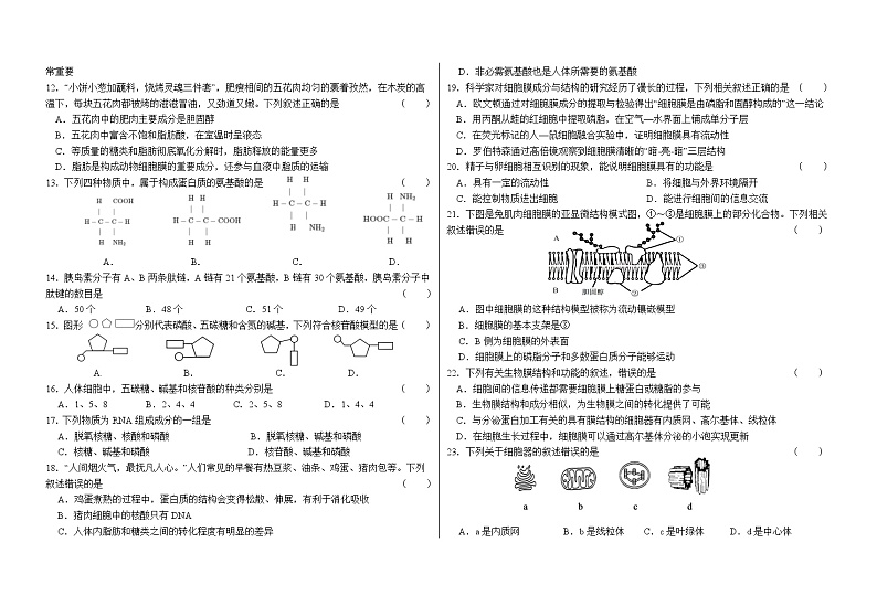 甘肃省兰州市联片办学2024-2025学年高一上学期期中考试生物试卷第2页
