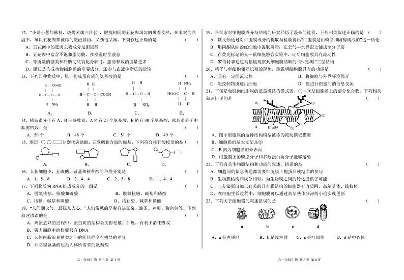 2024-2025-1期中高一生物试卷第2页