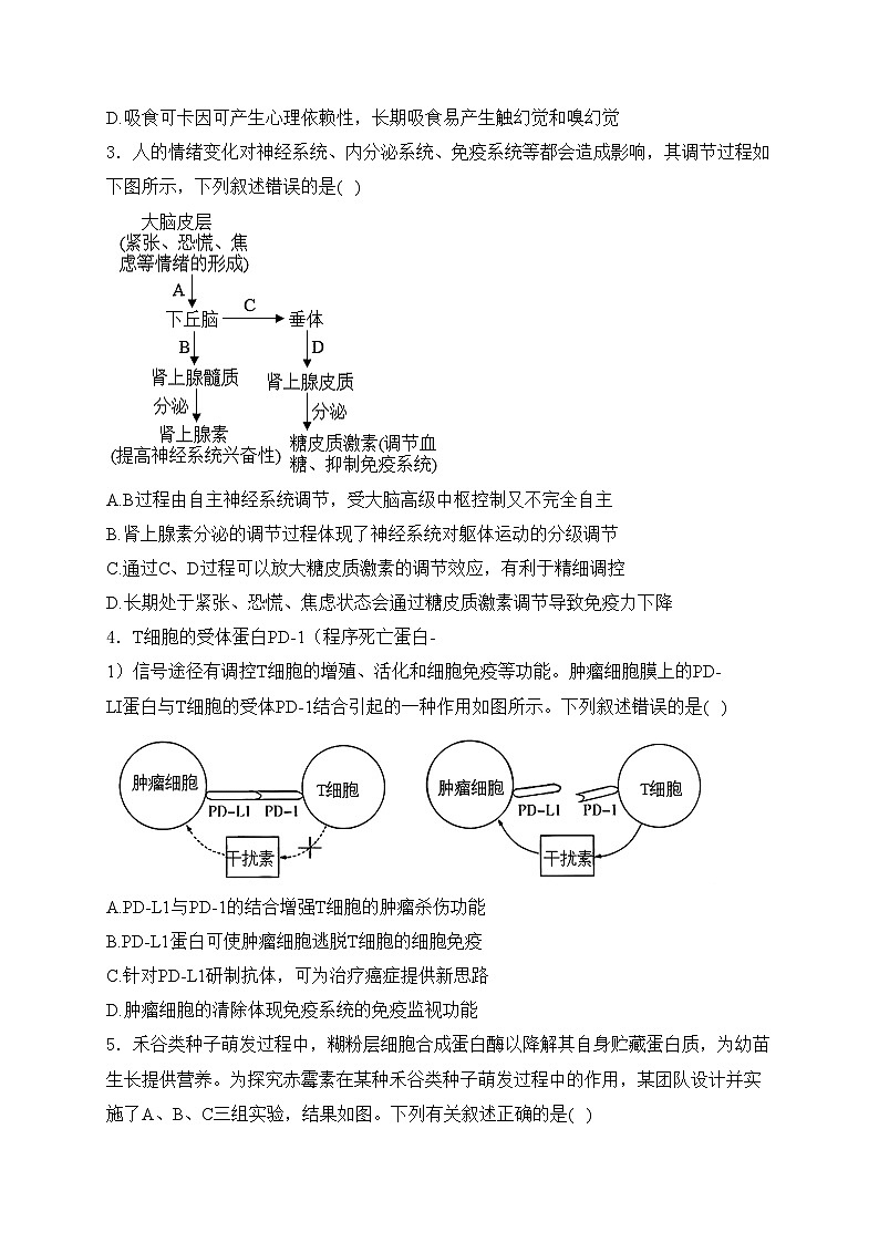 福建省厦门双十中学2024-2025学年高二上学期12月月考生物试卷(含答案)第2页
