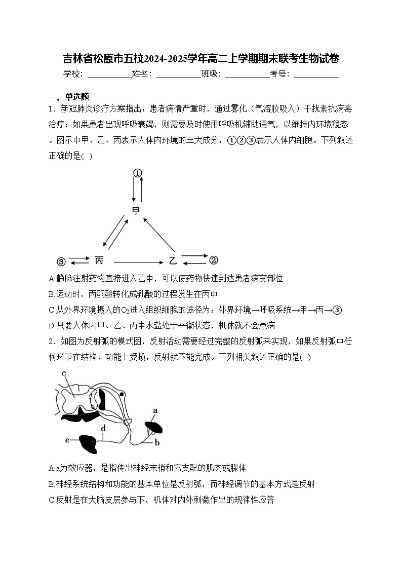吉林省松原市五校2024-2025学年高二上学期期末联考生物试卷(含答案)第1页
