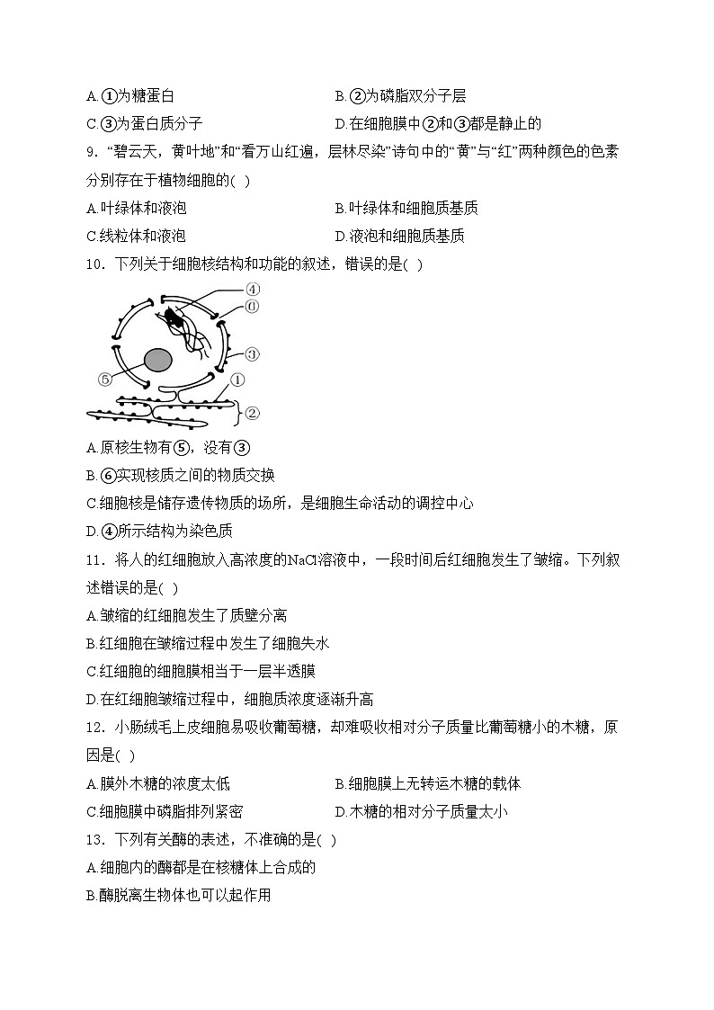 江苏省普通高中2024-2025学年高二上学期学业水平合格性考试模拟（一）生物试卷(含答案)第2页
