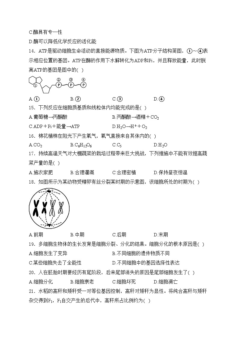 江苏省普通高中2024-2025学年高二上学期学业水平合格性考试模拟（一）生物试卷(含答案)第3页